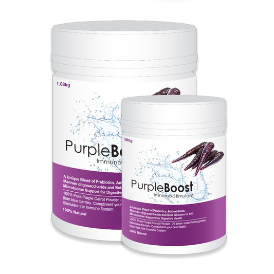 LifeWise – Purple Boost – Immuno-Stimulant - 180g